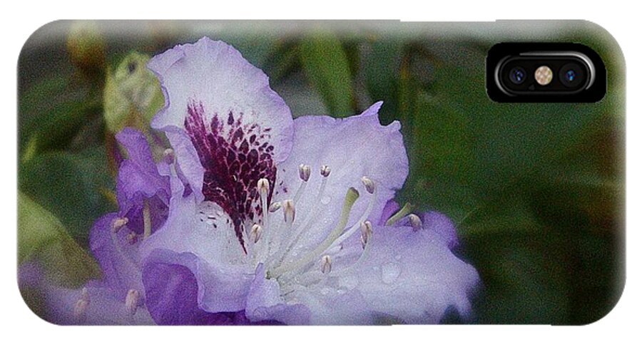 Rhododendron iPhone X Case featuring the photograph Rhodo Romantico No. 2 by Richard Cummings