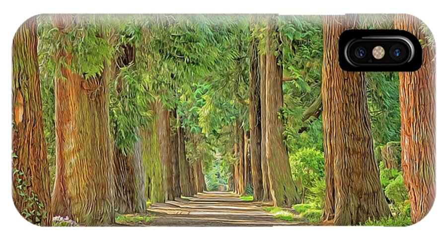 Road iPhone X Case featuring the painting Road Less Traveled by Harry Warrick