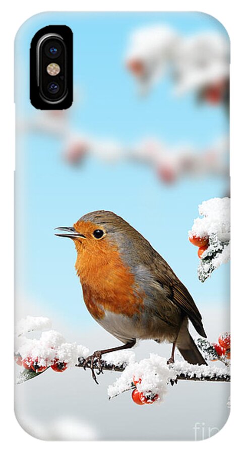European Robin iPhone X Case featuring the photograph Robin and Cotoneaster with snow by Warren Photographic