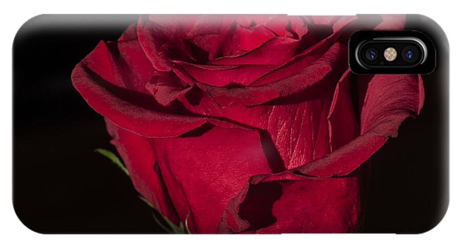 Flower iPhone X Case featuring the photograph Romantic Rose by Joann Long