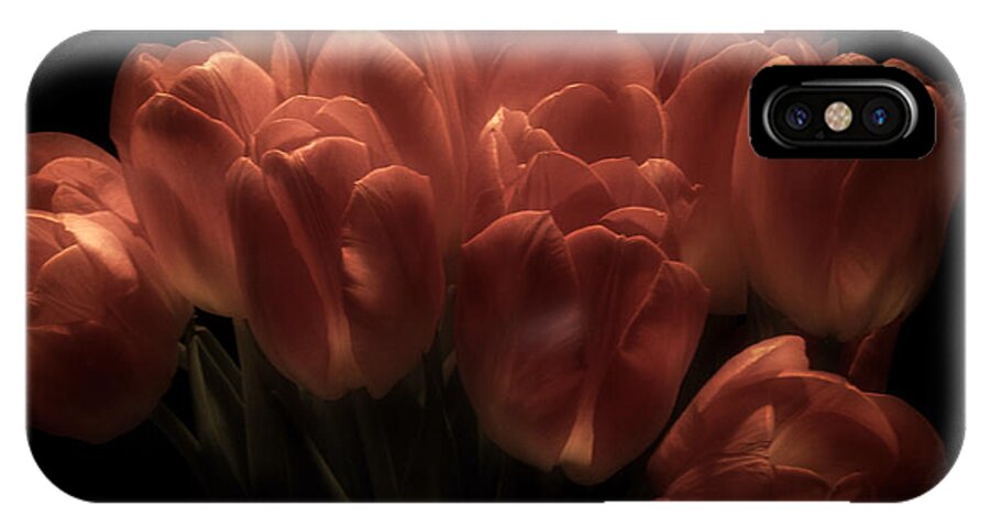 Tulips iPhone X Case featuring the photograph Romantic Tulips by Richard Cummings