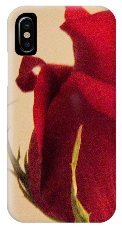 Rose iPhone X Case featuring the photograph Rose by Kristine Nora