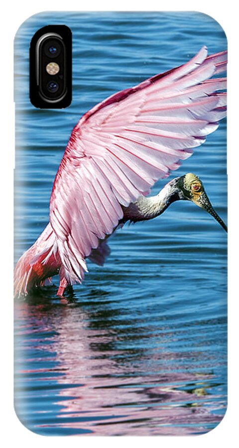 Spoonbill iPhone X Case featuring the photograph Roseate Spoonbill Landing by William Bitman