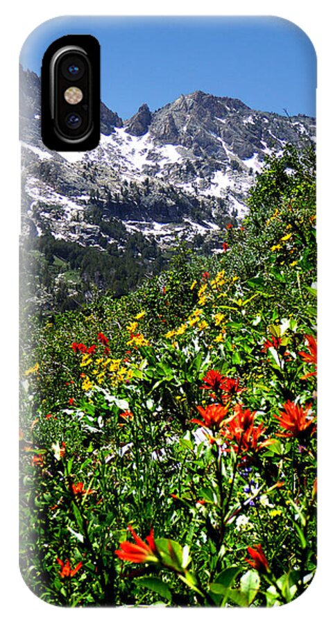 Island Lake iPhone X Case featuring the photograph Ruby Mountain Wildflowers - Vertical by Alan Socolik