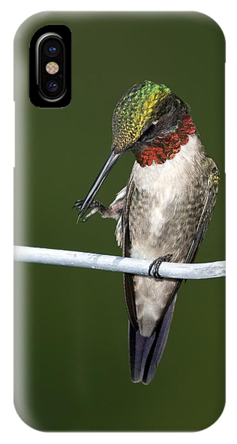 Ruby-throated Hummingbird iPhone X Case featuring the photograph Ruby-throated Hummingbird by Al Mueller