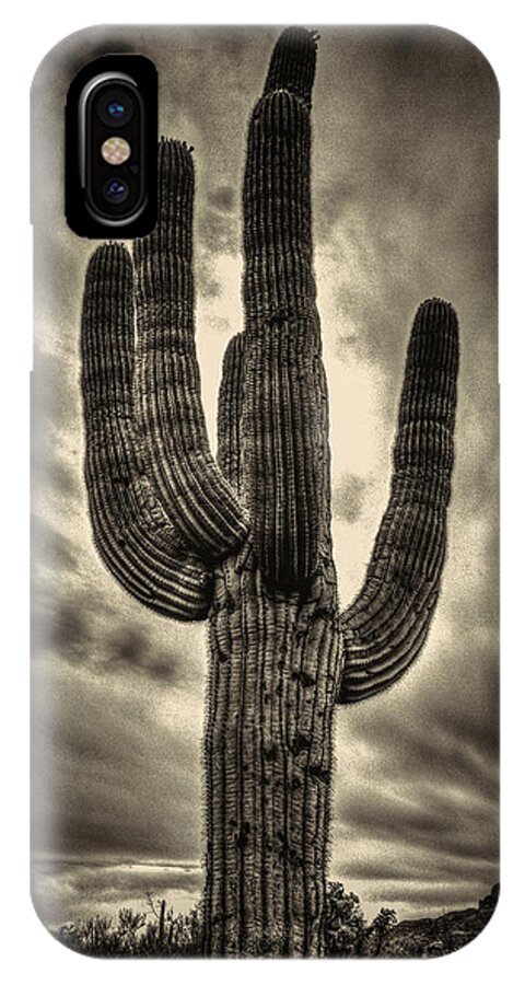 Arizona iPhone X Case featuring the photograph Saguaro and Storm Clouds by Roger Passman