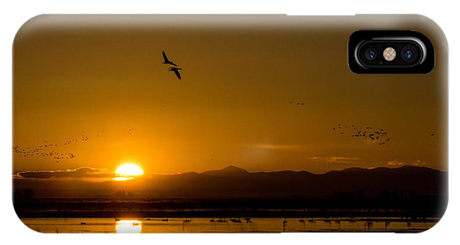 Sandhill Crane iPhone X Case featuring the photograph Sandhill Crane sunrise by Stephen Holst