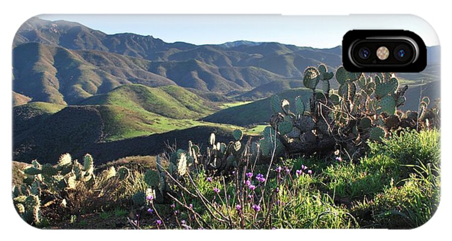 Tree iPhone X Case featuring the photograph Santa Monica Mountains - Cactus Hillside View by Matt Quest