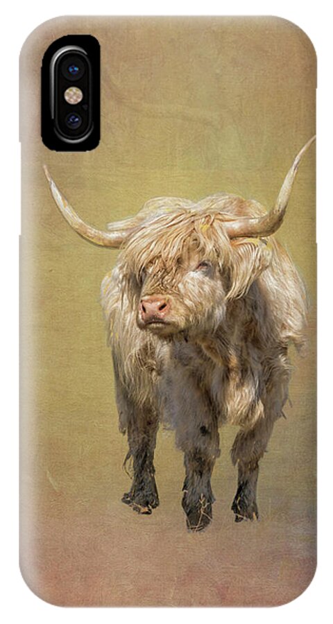 Harrisville New Hampshire. New England Mill Town iPhone X Case featuring the photograph Scottish Highlander by Tom Singleton