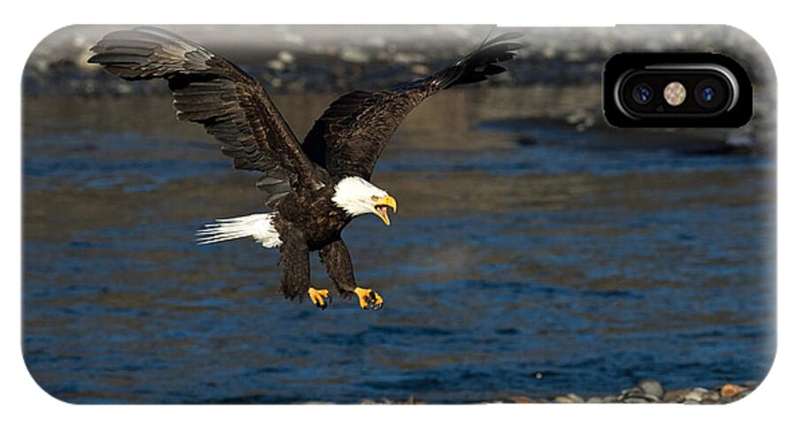 Eagle iPhone X Case featuring the photograph Screaming Eagle II by Shari Sommerfeld