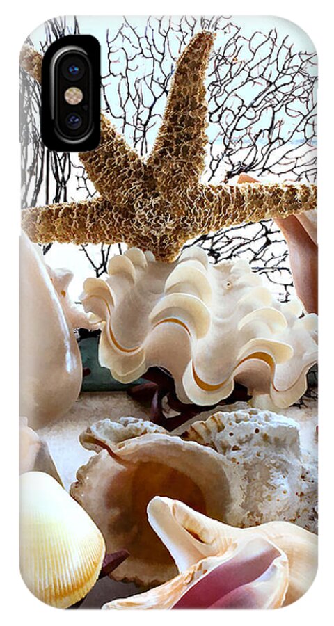 Gabriele Pomykaj iPhone X Case featuring the photograph Seashell Galore by Gabriele Pomykaj