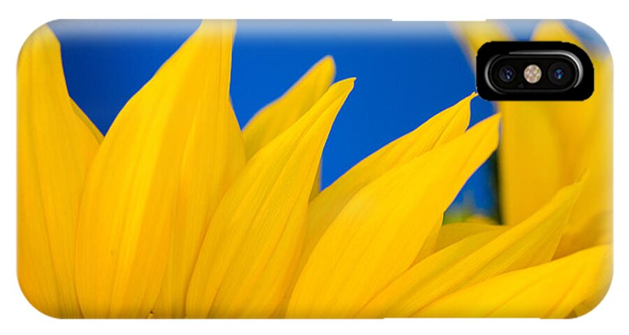 Sunflower iPhone X Case featuring the photograph Shady Shy Sunflowers by Margaret Pitcher