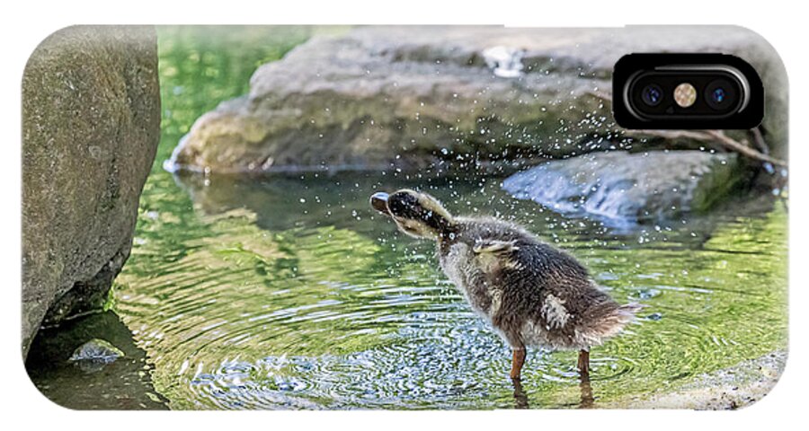 Mallard iPhone X Case featuring the photograph Shake It Off by Kate Brown