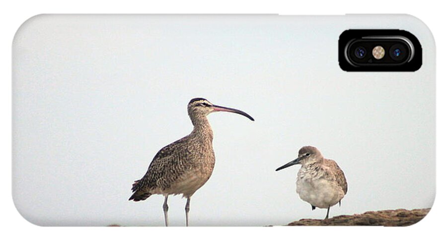 Shorebirds iPhone X Case featuring the photograph Shorebirds of Windansea Beach by Bruce Patrick Smith