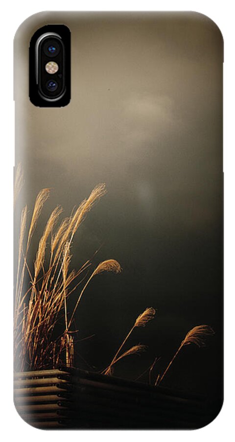 Silver Grass iPhone X Case featuring the photograph Silver Grass by Yuka Kato