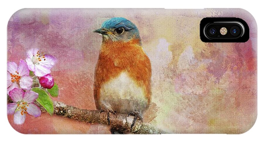 Bluebird iPhone X Case featuring the photograph Sitting Pretty by Geraldine DeBoer