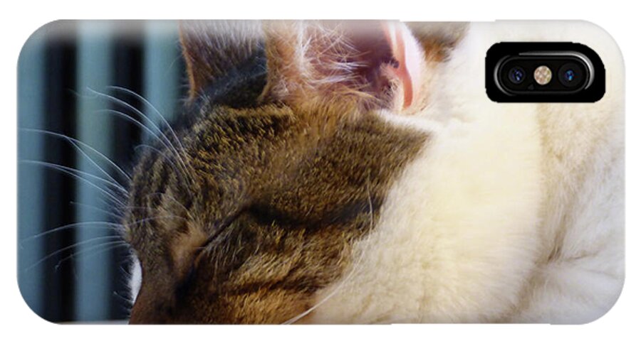 Cat iPhone X Case featuring the photograph Sleeping Cat by Leara Nicole Morris-Clark
