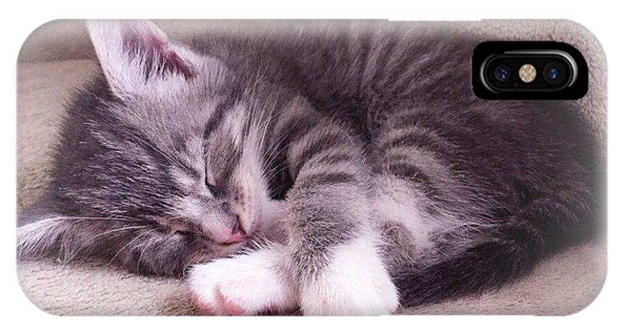  Photograph iPhone X Case featuring the photograph Sleepy kitten ByMaryLeeParker by MaryLee Parker
