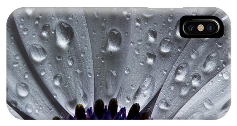 Flower iPhone X Case featuring the photograph Small Wonders by Morgan Wright