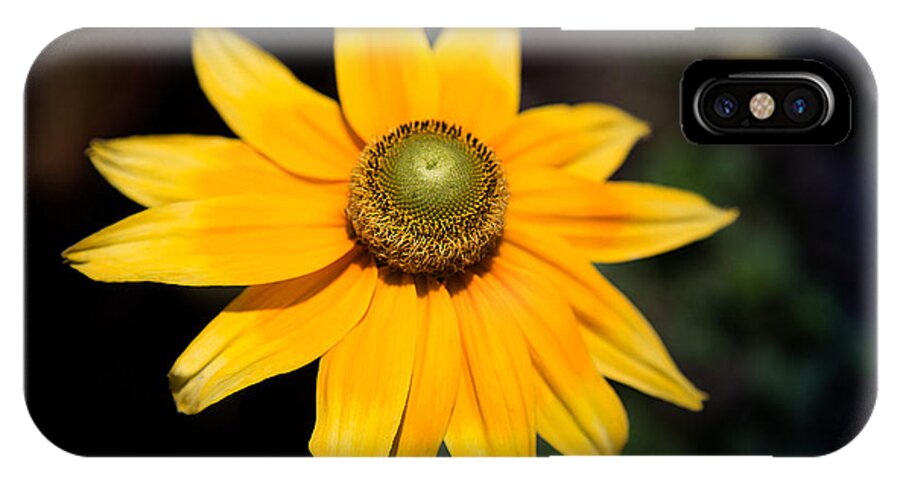 Yellow Flower iPhone X Case featuring the photograph Smiling Sun by Milena Ilieva