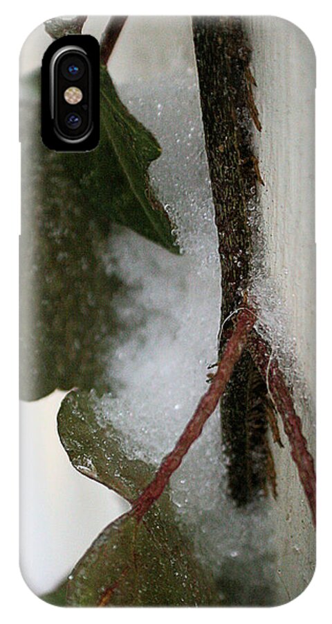 Holiday iPhone X Case featuring the photograph Snow on the Vine II by Traditionally Unique Photography