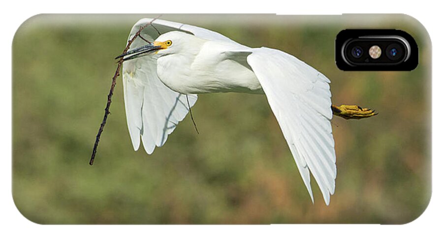 Snowy iPhone X Case featuring the photograph Snowy Egret 4786-091017-1cr by Tam Ryan