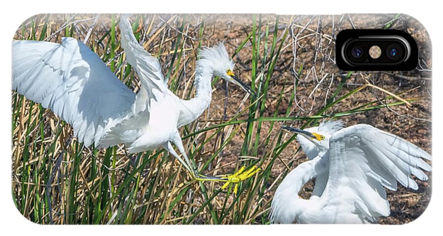 Snowy iPhone X Case featuring the photograph Snowy Egret Confrontation 8664-022018-1cr by Tam Ryan