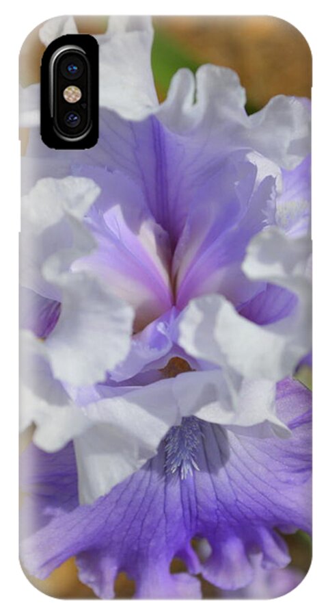 Iris iPhone X Case featuring the photograph Soft Iris by Linda Covino