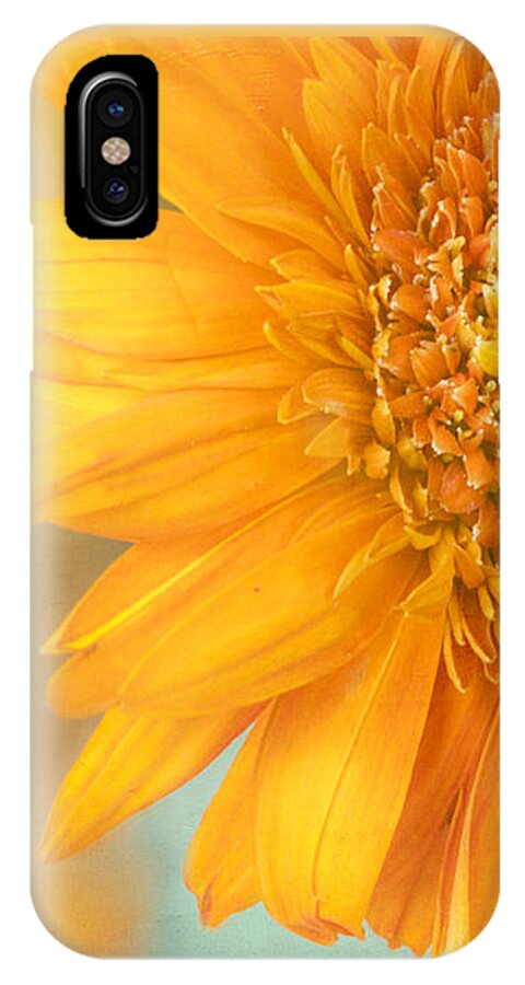 Floral iPhone X Case featuring the photograph Solar Flare by Jade Moon
