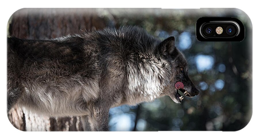 Alone iPhone X Case featuring the photograph Sometimes you have to kill by Art Atkins
