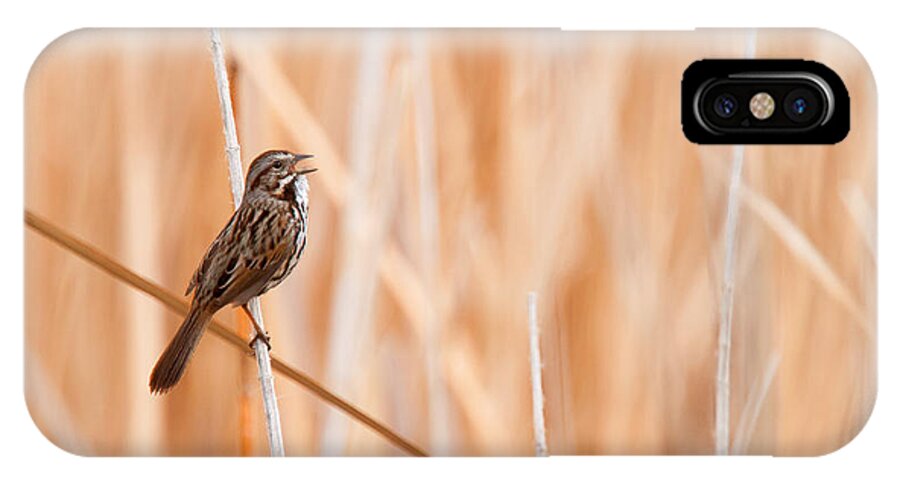 Song Sparrow iPhone X Case featuring the photograph Song Sparrow by Ram Vasudev