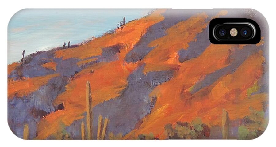 Art For Sale iPhone X Case featuring the painting Sonoran Sunset - Art by Bill Tomsa by Bill Tomsa