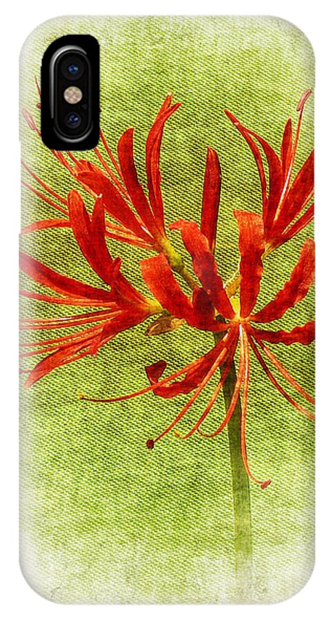 Spider Lily iPhone X Case featuring the photograph Spider Lily by Judi Bagwell