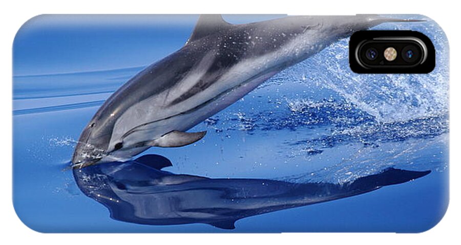 Dolphins iPhone X Case featuring the photograph Splash Down by Richard Patmore
