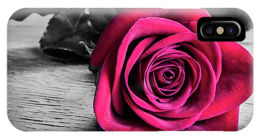 Red Rose iPhone X Case featuring the photograph Splash of Red Rose by Tammy Ray