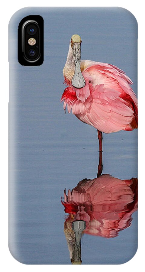 Spoonbill iPhone X Case featuring the photograph Spoonbill and Reflection by Dorothy Cunningham