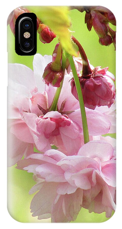 Cherry Blossoms iPhone X Case featuring the photograph Spring Blossoms 8 by Kim Tran