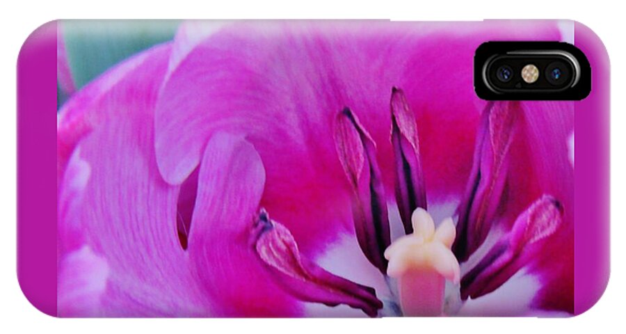 Violet Tulip iPhone X Case featuring the photograph Spring Celebration by Sharon Ackley