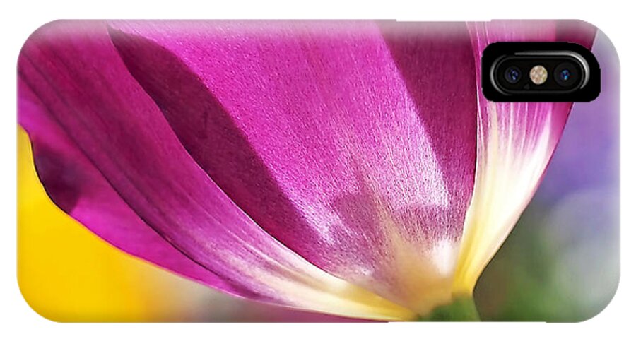 Tulip iPhone X Case featuring the photograph Spring Tulip - Square by Rona Black