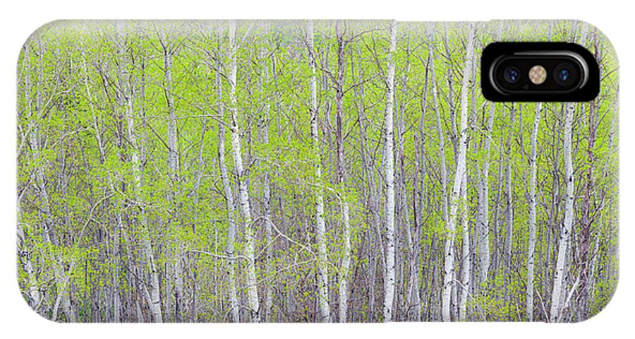 Spring iPhone X Case featuring the photograph Spring Woods by Alan L Graham