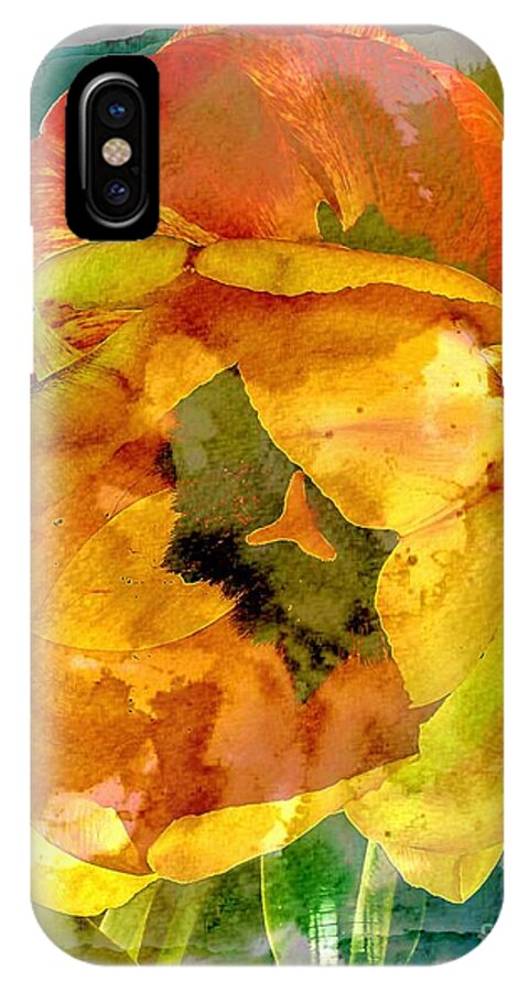 Spring iPhone X Case featuring the mixed media Spring XX by Charles Muhle
