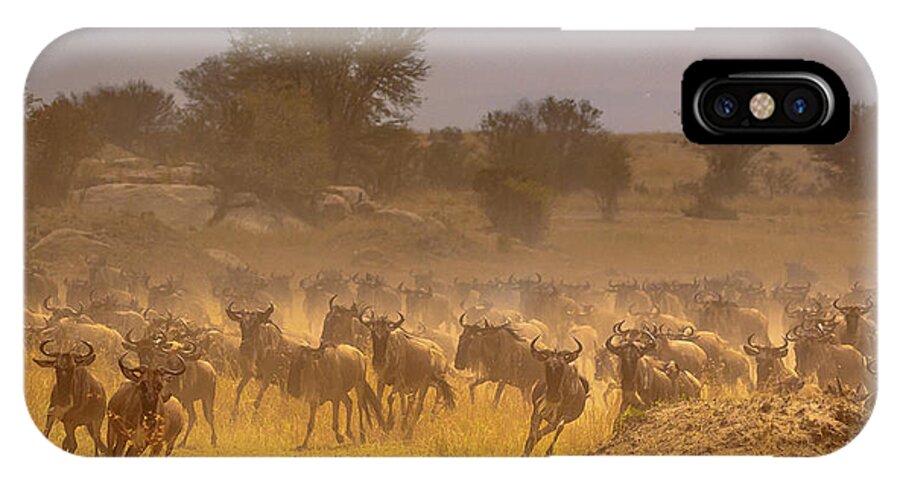 Africa iPhone X Case featuring the photograph Stampede-Serengeti Plain by Tim Bryan