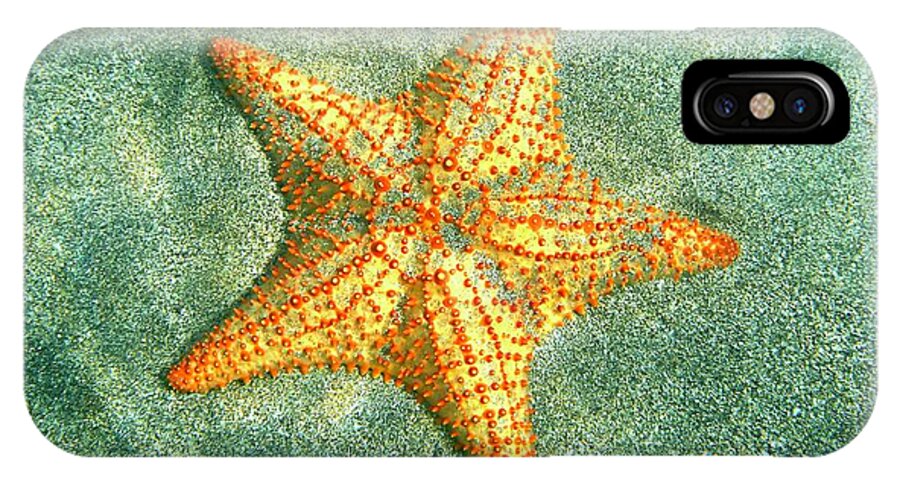Underwater Photography iPhone X Case featuring the photograph Starfish Geometry by Annette Kirchgessner