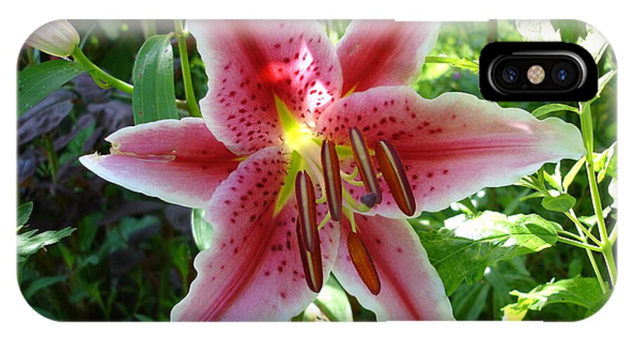 Lily iPhone X Case featuring the photograph Stargazer lily by Susan Baker