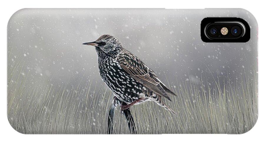 Avian iPhone X Case featuring the photograph Starling In Winter by Cathy Kovarik
