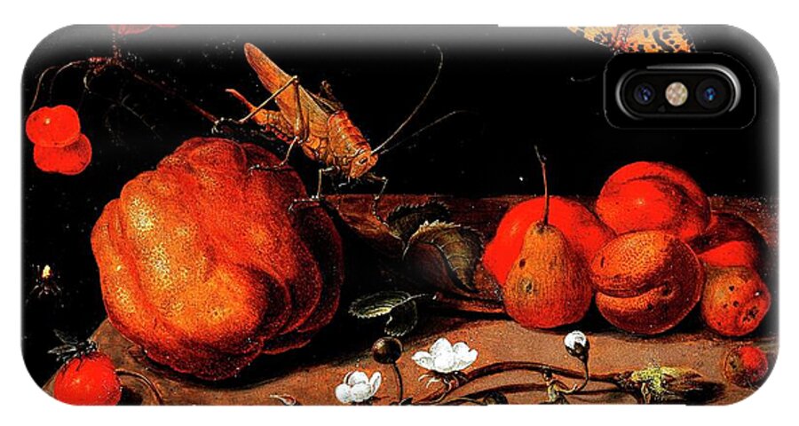 Pd: Reproduction iPhone X Case featuring the painting Still life fruit grasshopper butterfly by Thea Recuerdo