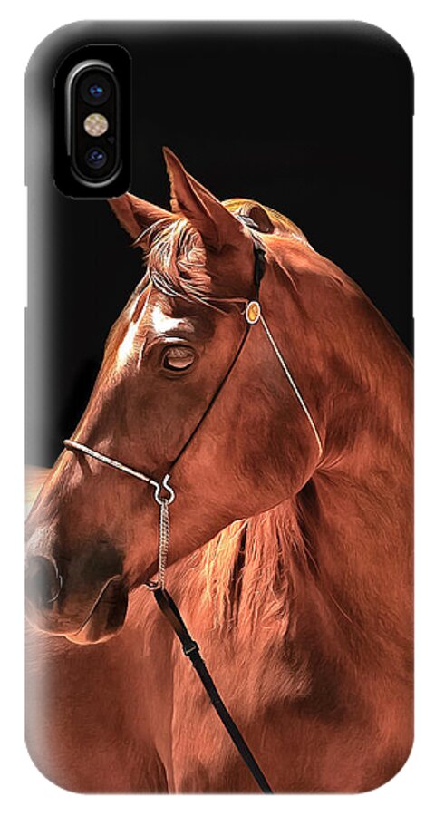 Sting's Ransom iPhone X Case featuring the photograph Sting's Ransom by CarolLMiller Photography
