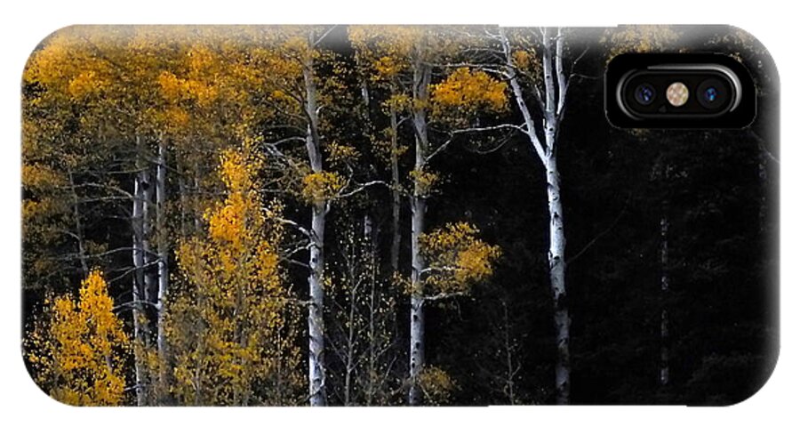 Aspen Trees iPhone X Case featuring the photograph Striking Gold by Charlotte Schafer