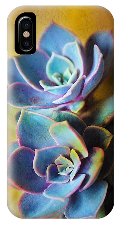 Leaves iPhone X Case featuring the photograph Succulents by Judi Bagwell