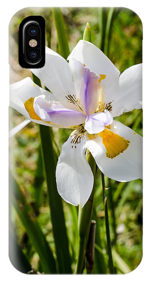 Floral iPhone X Case featuring the photograph Summer Lily by Tom Potter